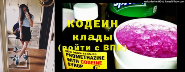 2c-b Гусев