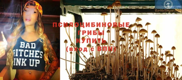 прущие крисы Гусь-Хрустальный