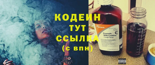 2c-b Гусев