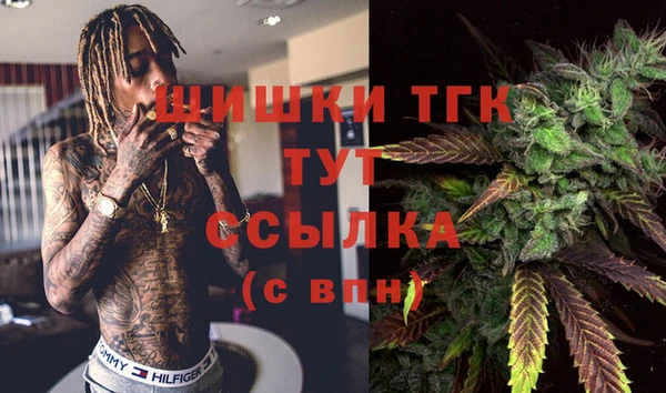 не бодяженный Гусиноозёрск