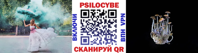 Купить где  Суздаль  Галлюциногенные грибы Psilocybe 